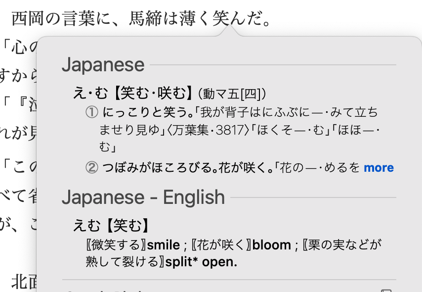 selection-and-dictionary-lookup-is-broken-in-japanese